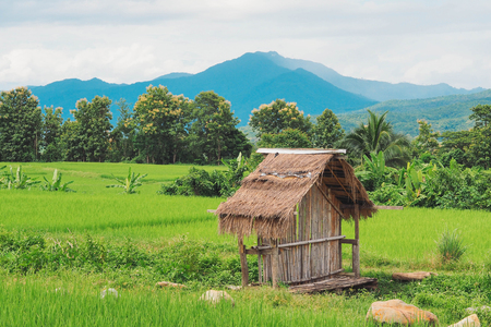 Small cottage in the field and blue skyの写真素材