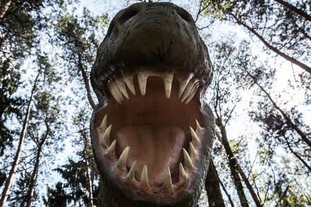 Scary isolated dino dinosaurs T rexの写真素材