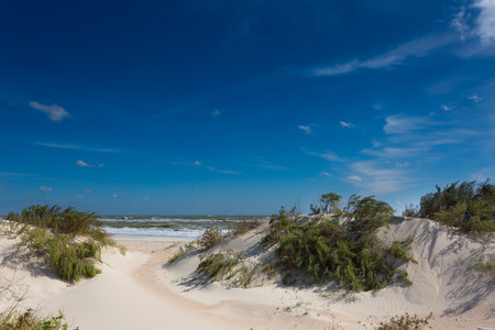 White sand dunes on the beach with blue sky and white cloudsの写真素材