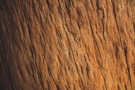 Texture brown hardwood background.の写真素材
