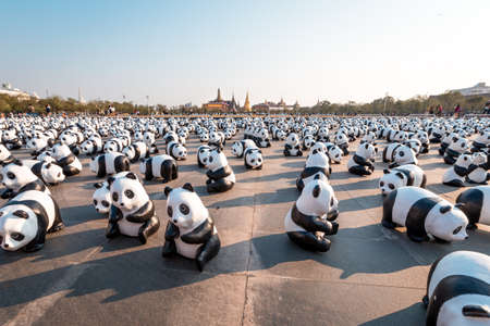 March 4, 2016: Papier-mÃ¢chÃ© pandas by Paulo Grangeon set for public to see in 1,600 Panda+ campaign at Sanam Luang, Bangkok, Thailand, by WWF (World Wildlife Fund) to raise an awareness to conserve pandas, which near extinct, wildlife and environments wのeditorial素材