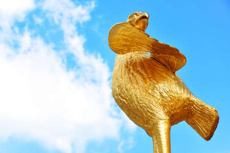 Majestic golden chickenの写真素材