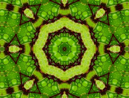 Fractal backgroundの写真素材