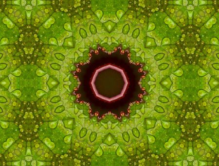 Fractal backgroundの写真素材