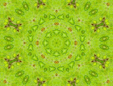 Fractal background