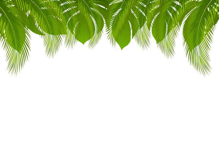 Vector exotic tropical summer frame border with palm leaves and jungle leaf. Invitation design element for Wedding marriage event and Hawaiian party with green tropical leavesのイラスト素材