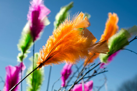 Multicoloured feathers dancing with the waves of wind during a sunny day on blue sky.