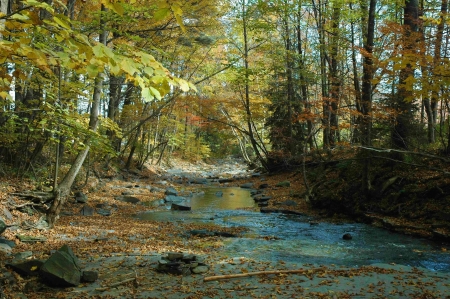 Country Stream Fall