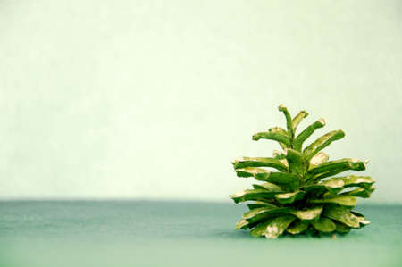 Green pine cone on green background with copy space. Christmas concept.の写真素材