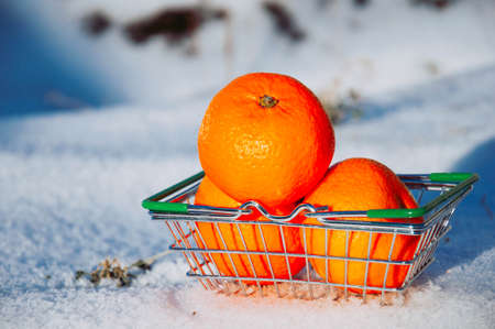 Shopping basket with oranges on the snow in winter.の写真素材