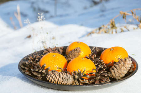 Ripe tangerines with cones on a plate in the snowの写真素材