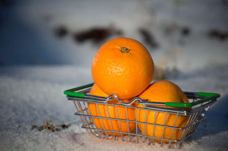 Shopping basket with oranges in the snow. Selective focus.の写真素材