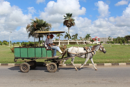 horse and buggyのeditorial素材