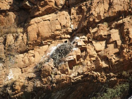 Eagles Nestの写真素材