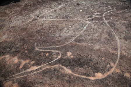 Dharawal etchings or petroglyphs, Bundeena NSW Australiaの写真素材
