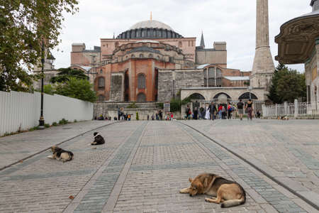 Aya Sofia, Istanbul, Turkey 14/10/2019のeditorial素材