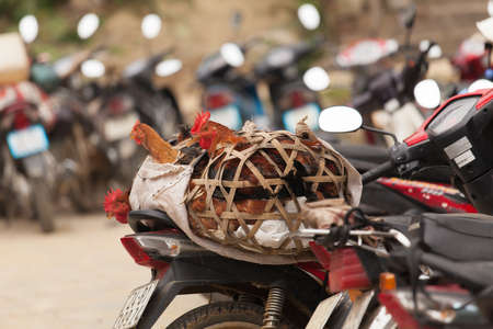 Bac Ha Market Vietnam one of the biggest in all of North Vietnamの写真素材