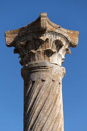 Volubilis is a partly excavated Berber city in Morocco near the city of Meknes