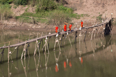 Luang Prabang Laos 12.23.2017 Buddhist monks crossing river by old wooden bamboo bridge. Orange robes reflecting in the water, one monk with umbrellaHigh quality photoのeditorial素材