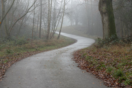 Curved road through mist in forest with ghostly trees in distance feeling lostの写真素材