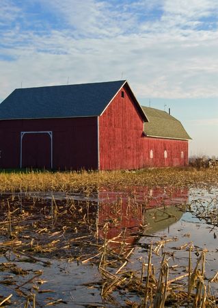 Reflection of a red barn in a field