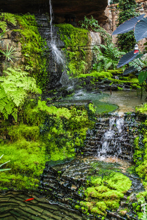 The Waterfallの写真素材