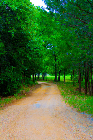 The Gravel Driveの写真素材