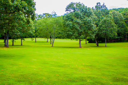 Grassy Plainの写真素材