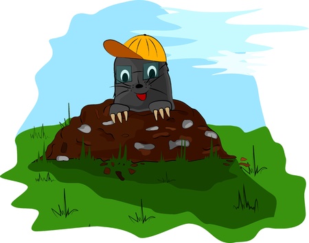 a small mole with glass and cap on the meadow molehillのイラスト素材
