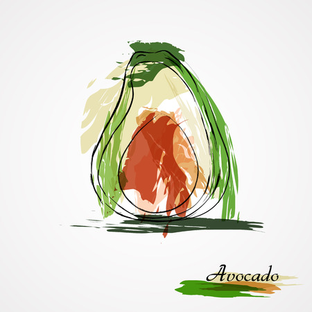 Hand drawn vector avocado fruit on light backgroundのイラスト素材