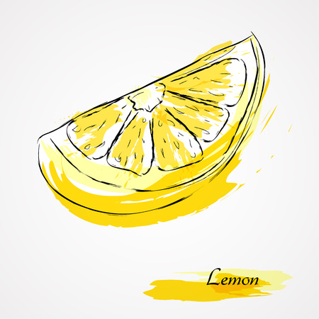Hand drawn vector lemon slice, piece, on light backgroundのイラスト素材