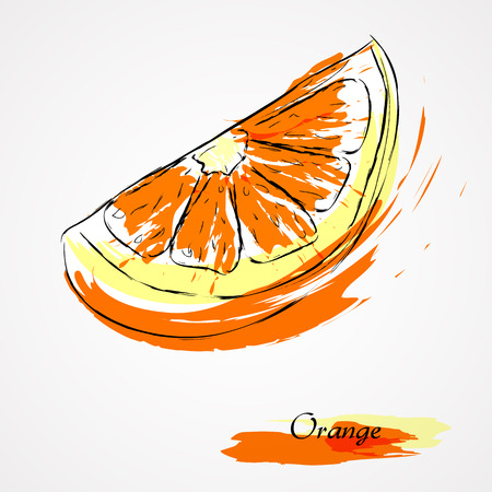Hand drawn vector orange, citrus fruit slice, piece, on light backgroundのイラスト素材