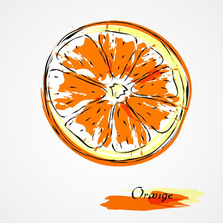 Hand drawn vector orange, citrus fruit slice, piece, on light backgroundのイラスト素材
