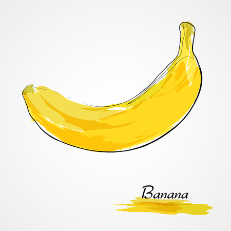 Hand drawn vector ripe banana fruit on light backgroundのイラスト素材