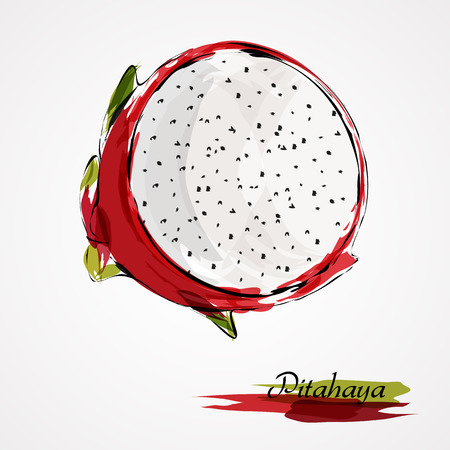Hand drawn vector red ripe pitahaya, dragonfruit slice of fruit on light backgroundのイラスト素材