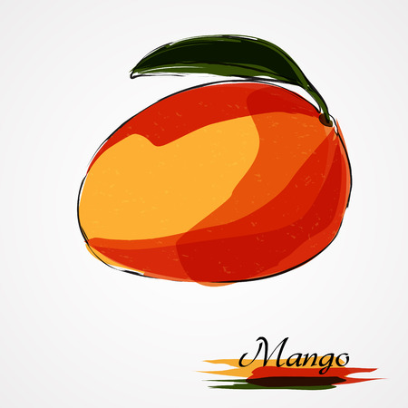 Hand drawn vector ripe mango fruit on the light backgroundのイラスト素材