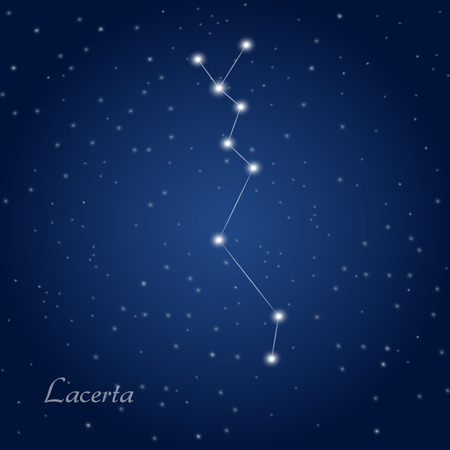 Lacerta constellation at starry night skyのイラスト素材