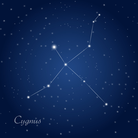 Cygnus constellation at starry night skyのイラスト素材