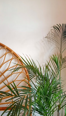 palm leaf plant on the wall of a tropical house like a decoration, interior designの写真素材