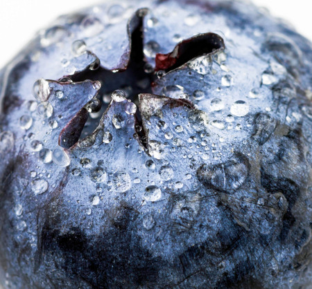 macro fresh blueberry with water dropsの写真素材