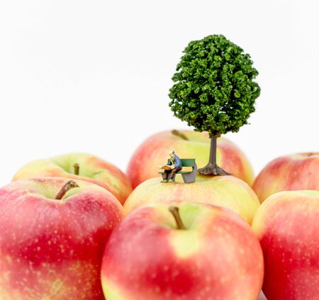 Miniature man sitting on a bank under an apple treeの写真素材