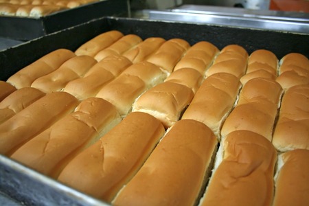 Rows of buns in a tray in a bakery