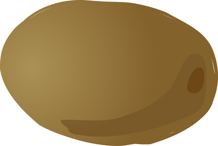 Sketch of a kiwi fruit. Hand-drawn lineart look illustrationの写真素材