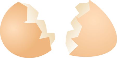 Eggs cracked half shells isometric 3d vector illustration