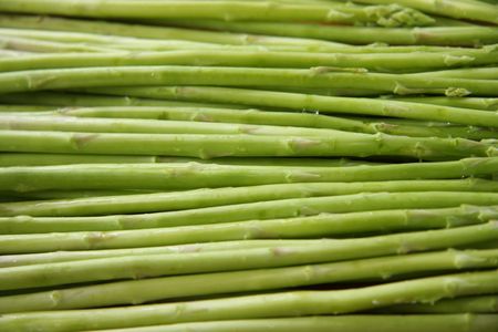 Fresh whole asparagus spears arranged in a row