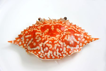 Whole shell of a cooked king crab removed on plateの写真素材