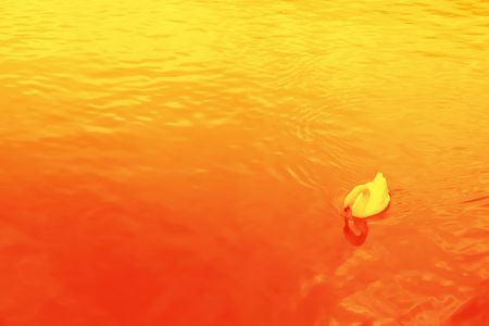 Abstract wallpaper graphic of a swan swimmingの写真素材