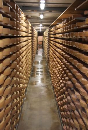 Round stacks of cheese stored on shelves in factory warehouseの写真素材