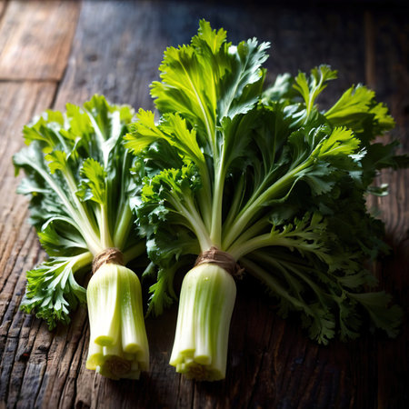 Celery fresh raw organic vegetableの素材