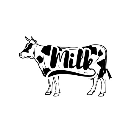 Cow. Vintage vector illustration isolated on white backgroundのイラスト素材